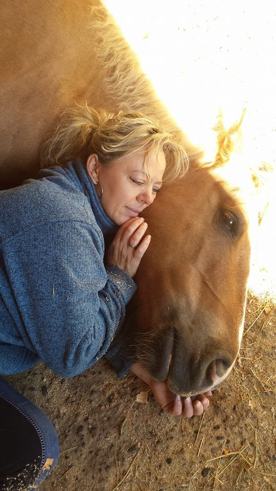 Seelenreise zum Tier – Bild 3