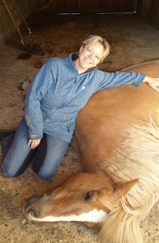 Seelenreise zum Tier – Bild 2