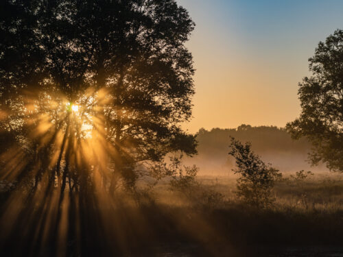 Channeling & Coaching